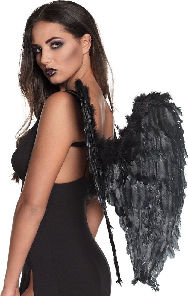 Zwarte Engel Veren Vleugels Gevouwen