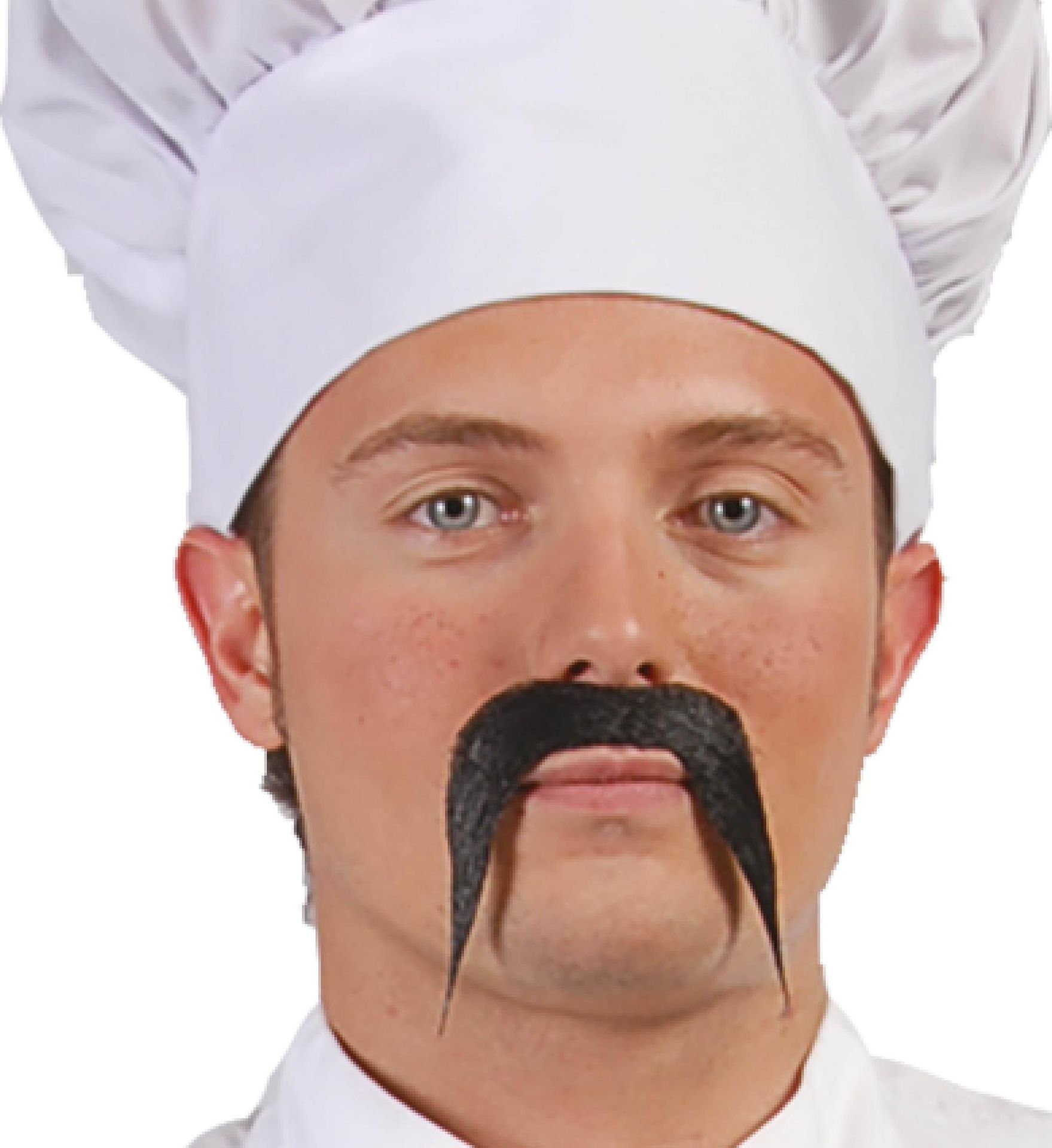 Zwarte Hangende Snor