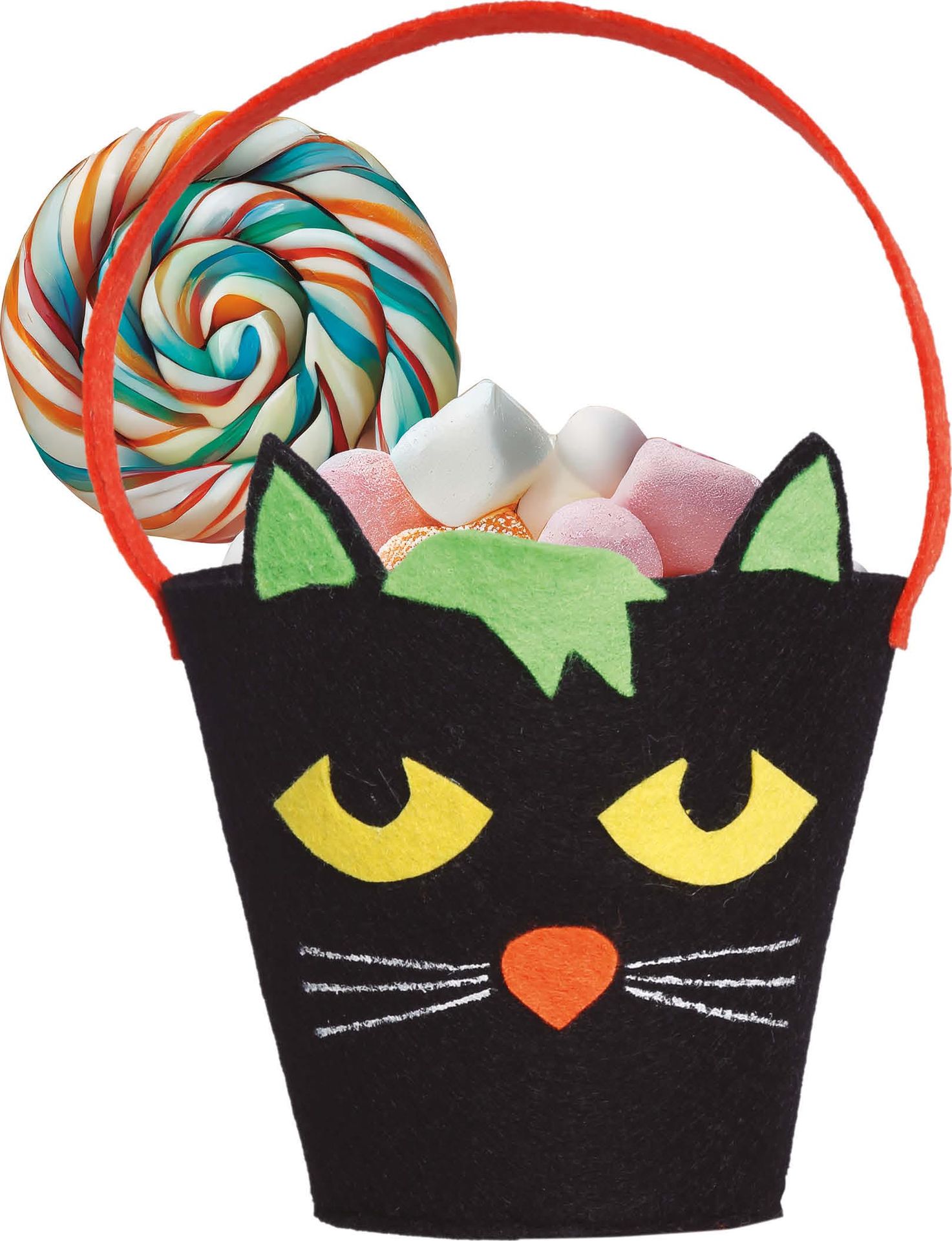 Zwarte Kat Halloween Vilten Snoepemmer