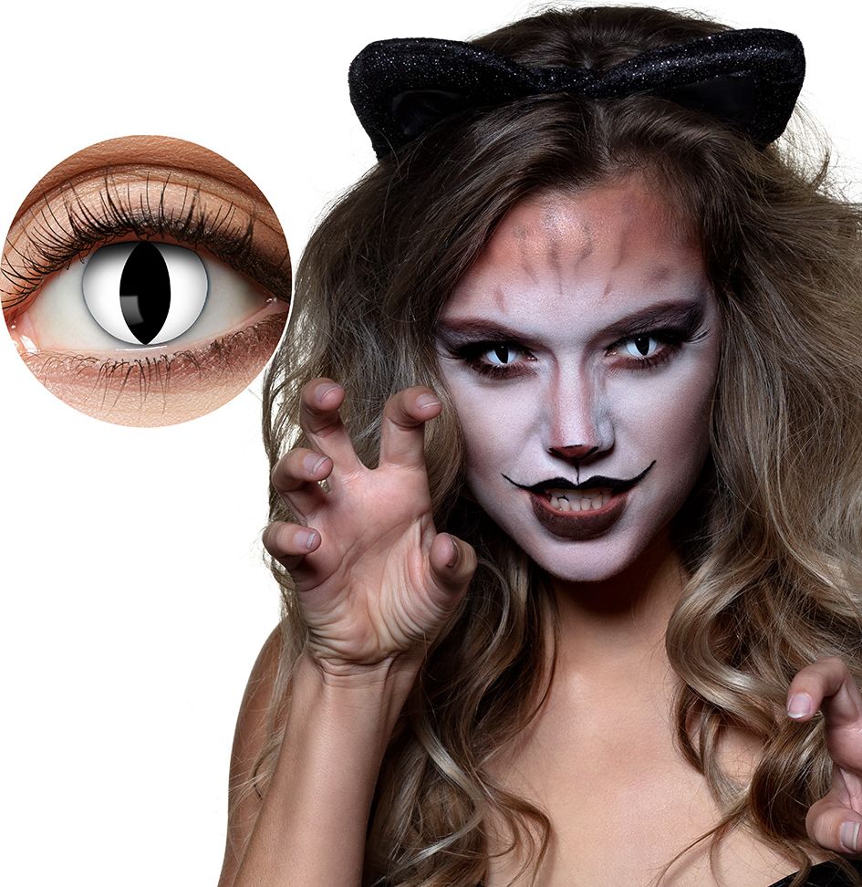 Zwarte Katten Kwartaal Lenzen