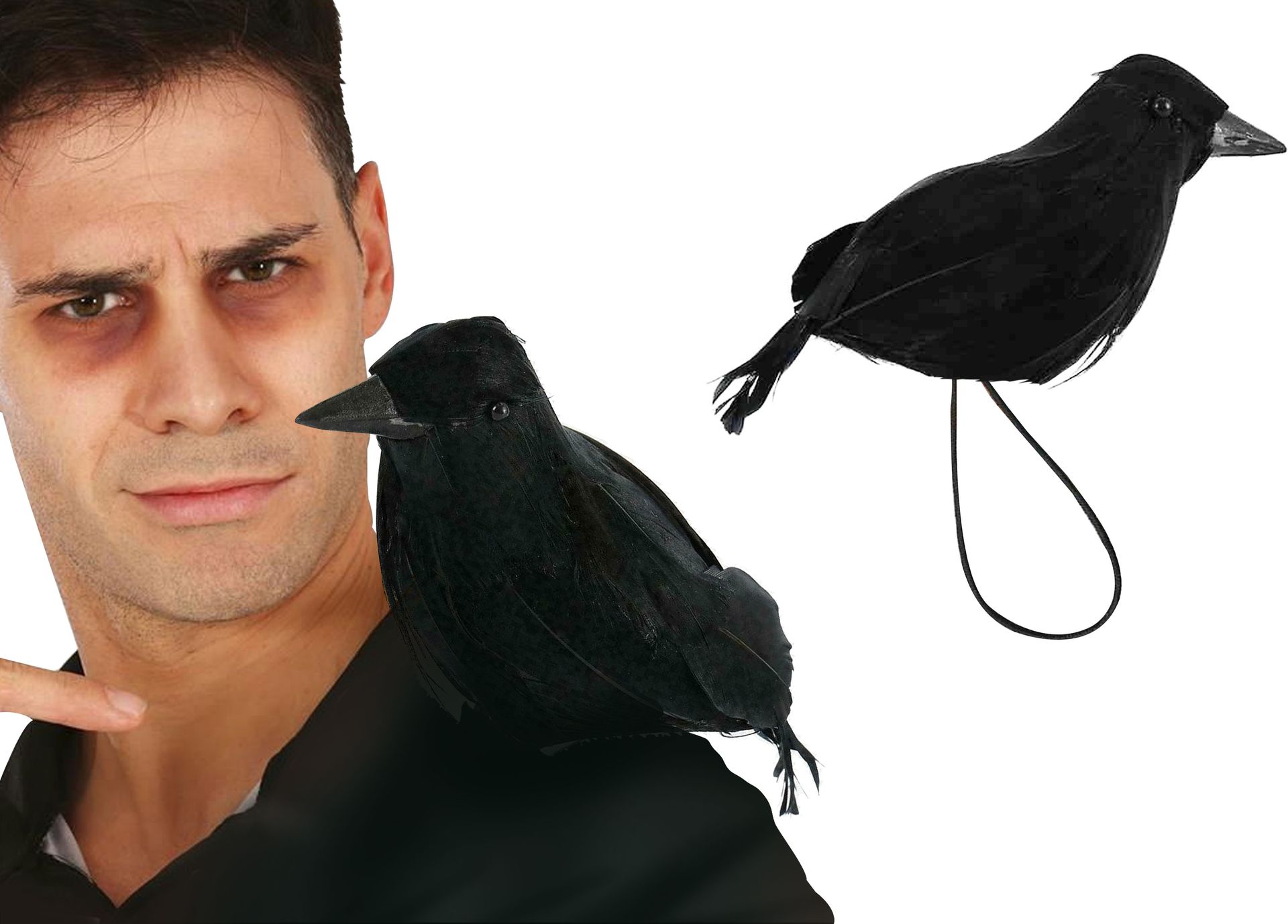 Zwarte Raven met Schouderband 15cm