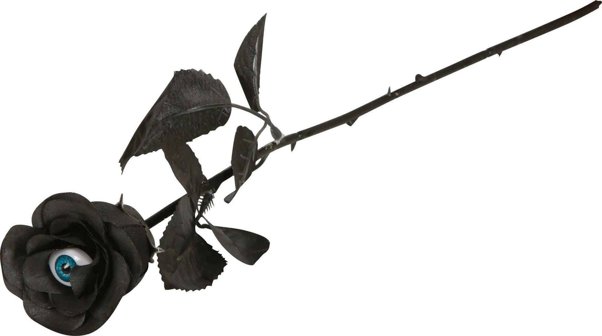 Zwarte Roos met Oog Halloween