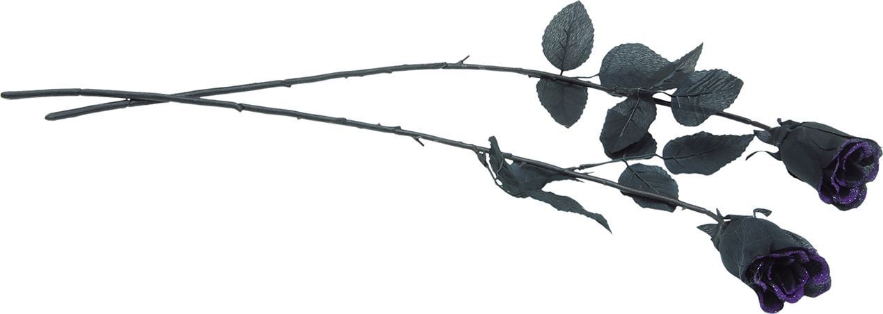 Zwarte Roos met Paarse Glitters