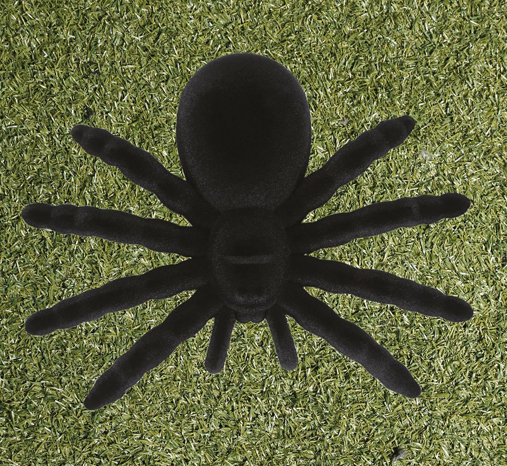 Zwarte Spin Decoratie Halloween 14cm