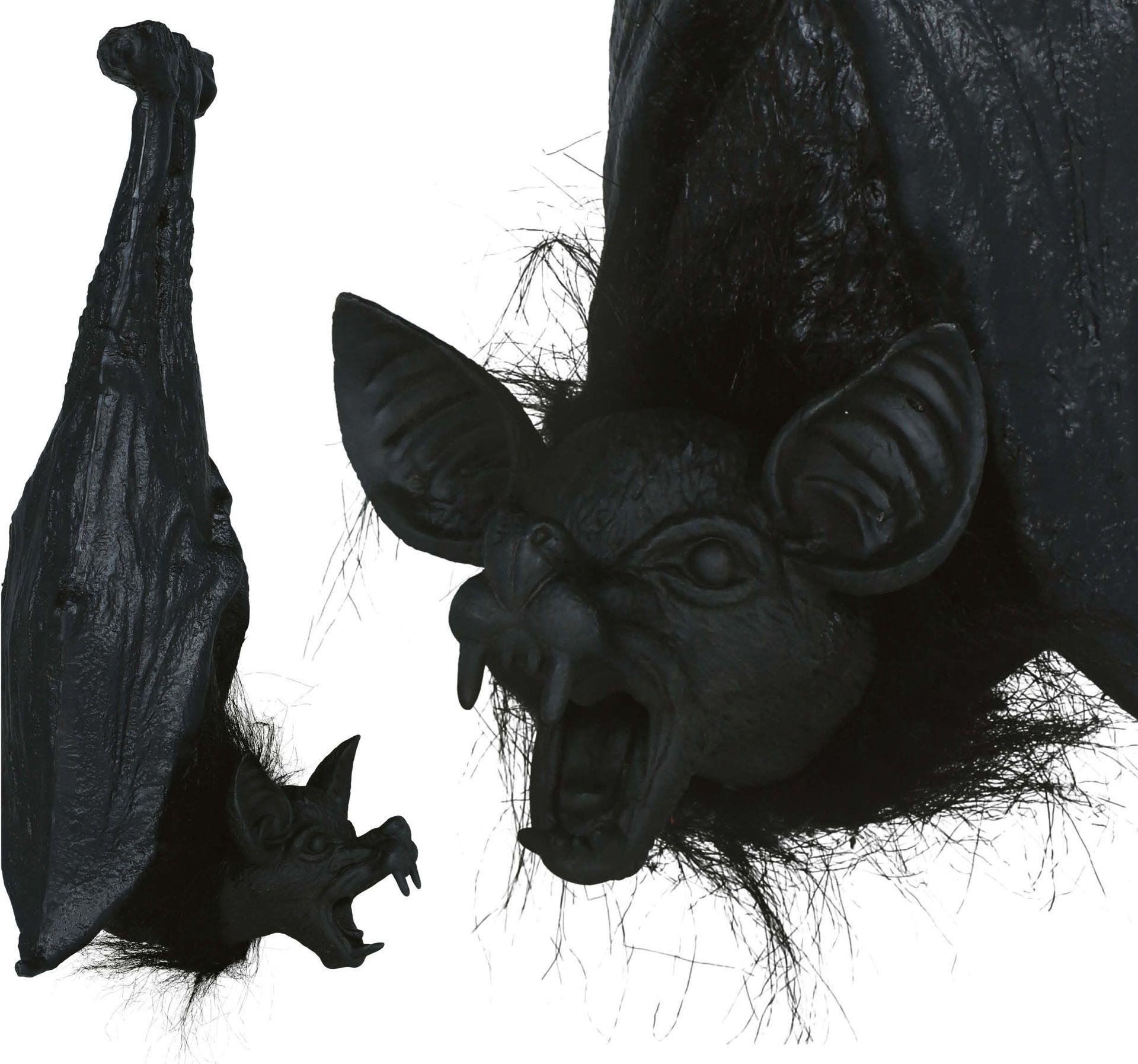 Zwarte Vleermuis Decoratie 50cm Halloween