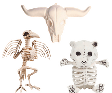 Dieren skelet decoratie